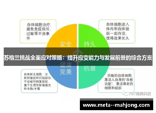 苏格兰挑战全面应对策略：提升应变能力与发展前景的综合方案