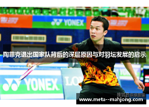 陶菲克退出国家队背后的深层原因与对羽坛发展的启示